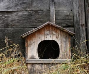 Hundehütte Detailansicht 3 - Datei: hundehütte3.jpg