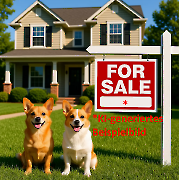 Erikas Haus (Beispielbild)