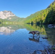 Maya im Urlaub