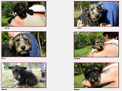 Vermittelt: Balu, Bari, Bori, Mano, Maya und Moyra