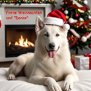 Herzliche Weihnachtsgrüße und Dankeschön